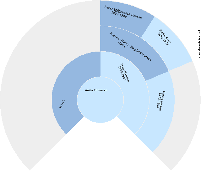 Hans Nielsen Bech Anehjul