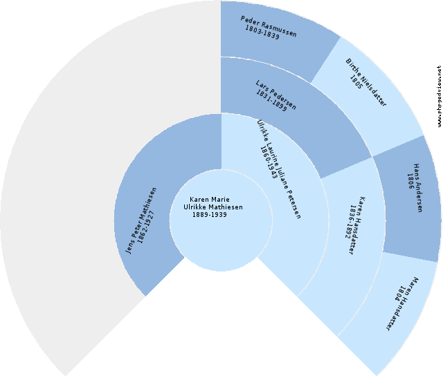 Ole Plesner Jakobsen Anehjul
