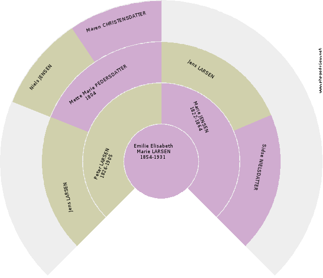 Peter Petersen BRASAA Solfjäder